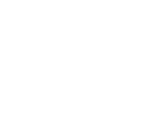 Car icon