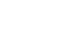 Screen icon